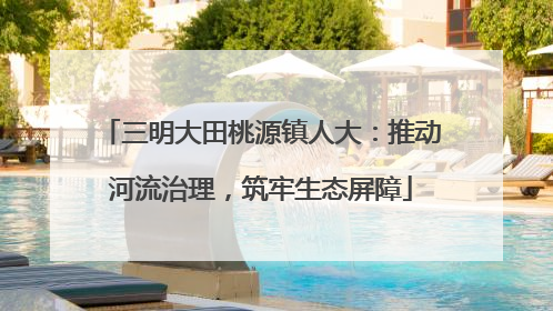 三明大田桃源镇人大：推动河流治理，筑牢生态屏障