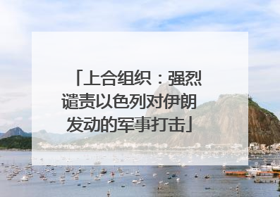上合组织：强烈谴责以色列对伊朗发动的军事打击