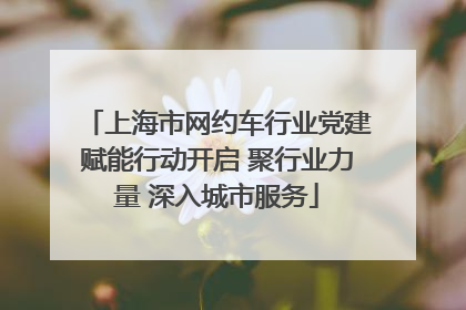上海市网约车行业党建赋能行动开启 聚行业力量 深入城市服务