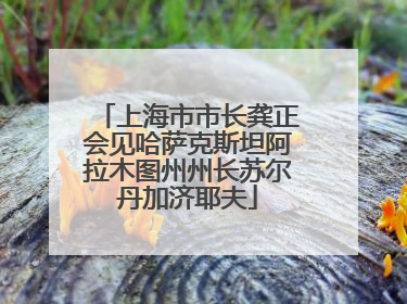 上海市市长龚正会见哈萨克斯坦阿拉木图州州长苏尔丹加济耶夫