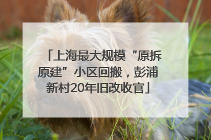 上海最大规模“原拆原建”小区回搬，彭浦新村20年旧改收官