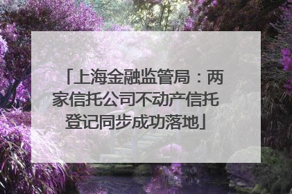 上海金融监管局：两家信托公司不动产信托登记同步成功落地