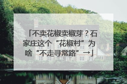 不卖花椒卖椒芽？石家庄这个“花椒村”为啥“不走寻常路”→