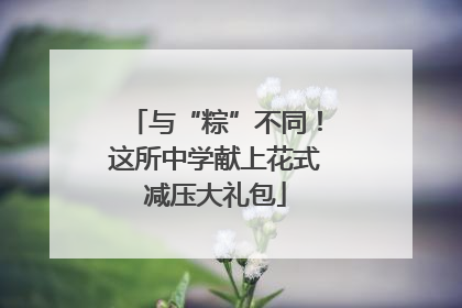 与“粽”不同！这所中学献上花式减压大礼包