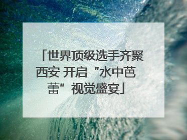 世界顶级选手齐聚西安 开启“水中芭蕾”视觉盛宴