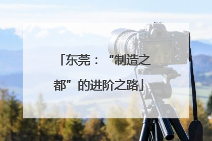 东莞：“制造之都”的进阶之路