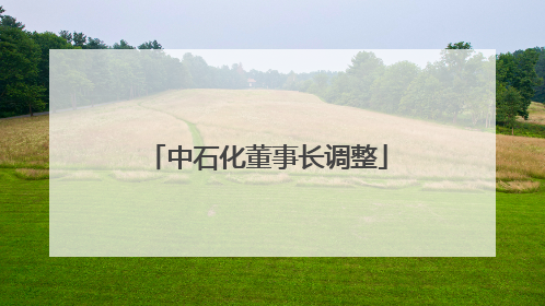 中石化董事长调整