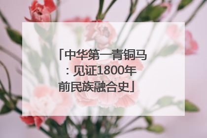 中华第一青铜马：见证1800年前民族融合史