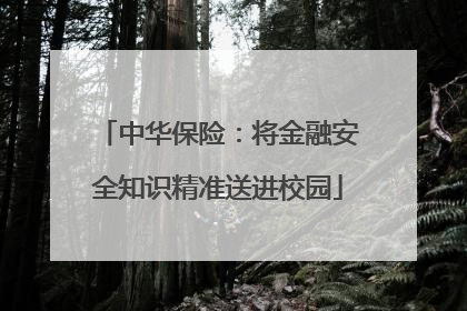 中华保险：将金融安全知识精准送进校园