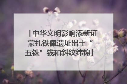 中华文明影响添新证 蒙扎铁佩遗址出土“五铢”钱和斜纹纬锦