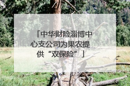 中华财险淄博中心支公司为果农提供“双保险”