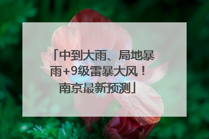 中到大雨、局地暴雨+9级雷暴大风！南京最新预测