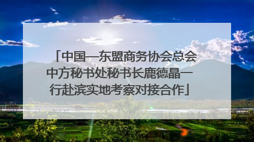中国—东盟商务协会总会中方秘书处秘书长鹿德晶一行赴滨实地考察对接合作