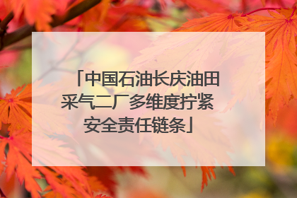 中国石油长庆油田采气二厂多维度拧紧安全责任链条