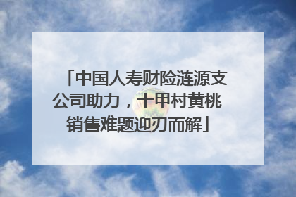 中国人寿财险涟源支公司助力，十甲村黄桃销售难题迎刃而解