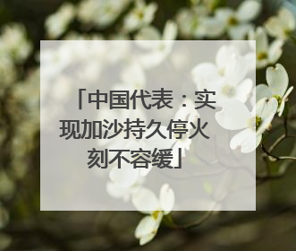 中国代表：实现加沙持久停火刻不容缓