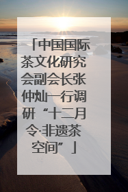 中国国际茶文化研究会副会长张仲灿一行调研“十二月令·非遗茶空间”