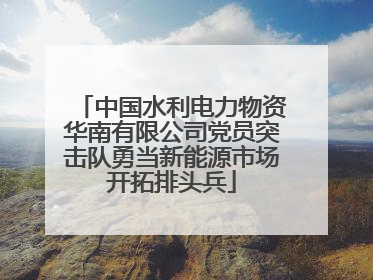 中国水利电力物资华南有限公司党员突击队勇当新能源市场开拓排头兵