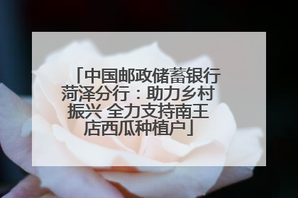 中国邮政储蓄银行菏泽分行：助力乡村振兴 全力支持南王店西瓜种植户