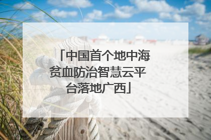 中国首个地中海贫血防治智慧云平台落地广西