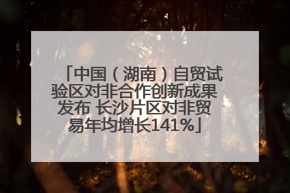 中国（湖南）自贸试验区对非合作创新成果发布 长沙片区对非贸易年均增长141%