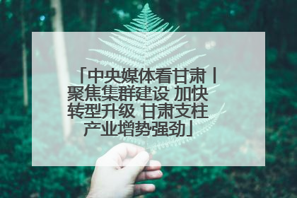 中央媒体看甘肃丨聚焦集群建设 加快转型升级 甘肃支柱产业增势强劲