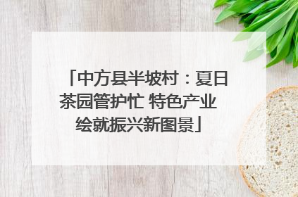 中方县半坡村：夏日茶园管护忙 特色产业绘就振兴新图景