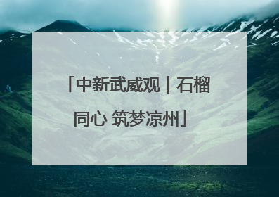 中新武威观｜石榴同心 筑梦凉州