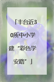 丰台近30所中小学建“彩色学安路”