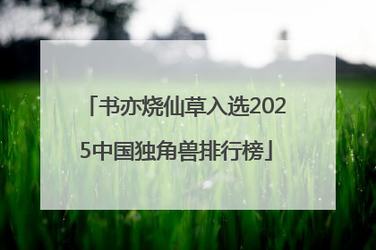 书亦烧仙草入选2025中国独角兽排行榜