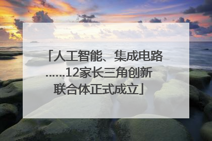 人工智能、集成电路……12家长三角创新联合体正式成立