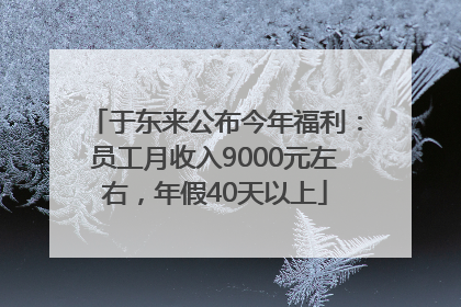 于东来公布今年福利：员工月收入9000元左右，年假40天以上