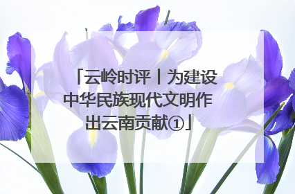 云岭时评丨为建设中华民族现代文明作出云南贡献①