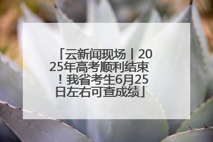 云新闻现场丨2025年高考顺利结束！我省考生6月25日左右可查成绩