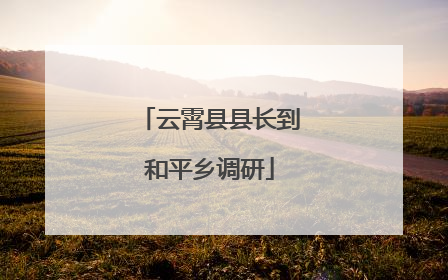 云霄县县长到和平乡调研