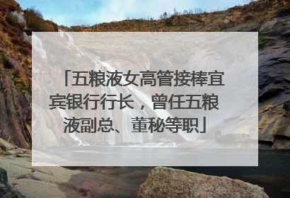 五粮液女高管接棒宜宾银行行长，曾任五粮液副总、董秘等职