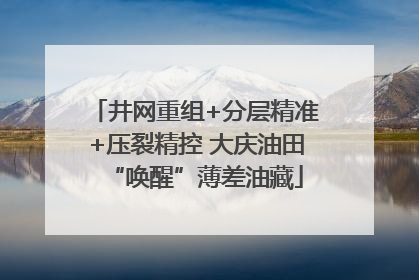 井网重组+分层精准+压裂精控 大庆油田“唤醒”薄差油藏