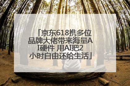 京东618携多位品牌大佬带来海量AI硬件 用AI把2小时自由还给生活