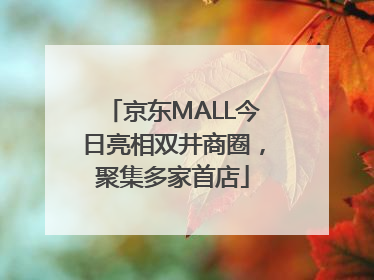 京东MALL今日亮相双井商圈，聚集多家首店