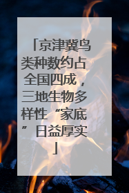 京津冀鸟类种数约占全国四成，三地生物多样性“家底”日益厚实