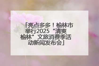 亮点多多！榆林市举行2025“清爽榆林”文旅消费季活动新闻发布会