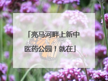 亮马河畔上新中医药公园！就在