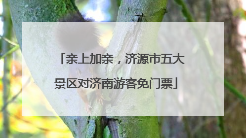 亲上加亲，济源市五大景区对济南游客免门票
