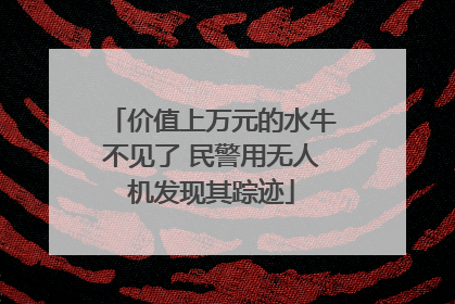 价值上万元的水牛不见了 民警用无人机发现其踪迹