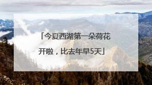 今夏西湖第一朵荷花开啦，比去年早5天