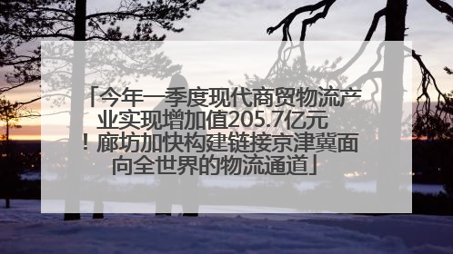 今年一季度现代商贸物流产业实现增加值205.7亿元！廊坊加快构建链接京津冀面向全世界的物流通道