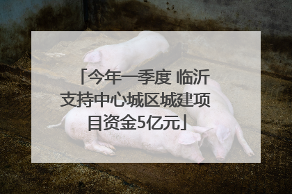 今年一季度 临沂支持中心城区城建项目资金5亿元