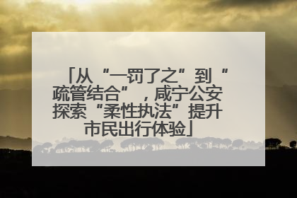 从“一罚了之”到“疏管结合”，咸宁公安探索“柔性执法”提升市民出行体验
