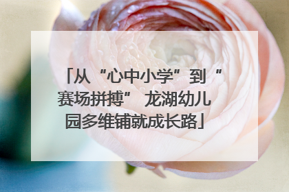 从“心中小学”到“赛场拼搏” 龙湖幼儿园多维铺就成长路