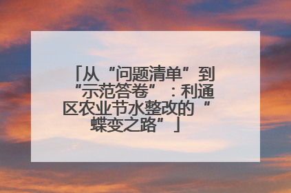 从“问题清单”到“示范答卷”：利通区农业节水整改的“蝶变之路”